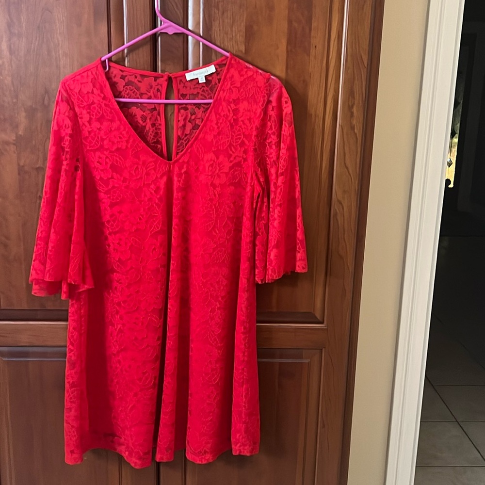 Red holiday dress worn once